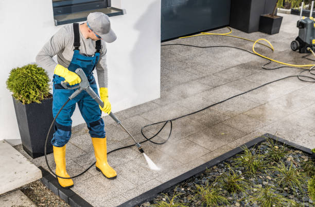 Best Roof Pressure Washing  in Fall Creek, WI