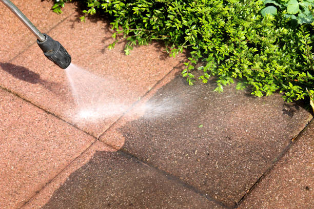 Best Best Pressure Washing Companies  in Fall Creek, WI